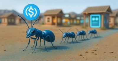 Jack Ma-backed Ant Community to undertake USDC for its blockchain platform to energy inappropriate-border funds, crypto transactions