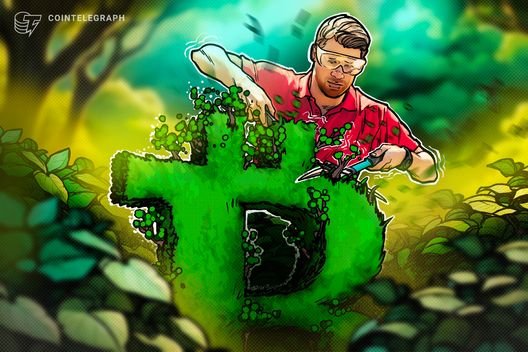 BTC ticket eyes file month-to-month halt: 5 issues to know in Bitcoin this week