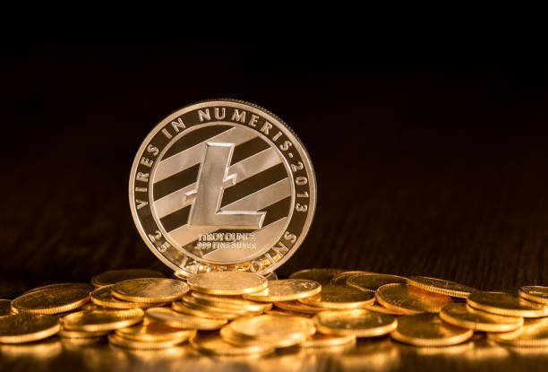 Litecoin Follows Bitcoin’s Momentum, However Resistance Looms At $Seventy nine.60