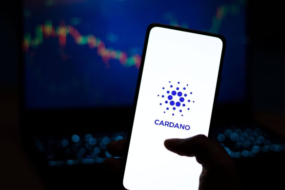 Cardano Hour of darkness Gains Momentum as NIGHT Lands CoinSpot Itemizing and Monument Bank Deal