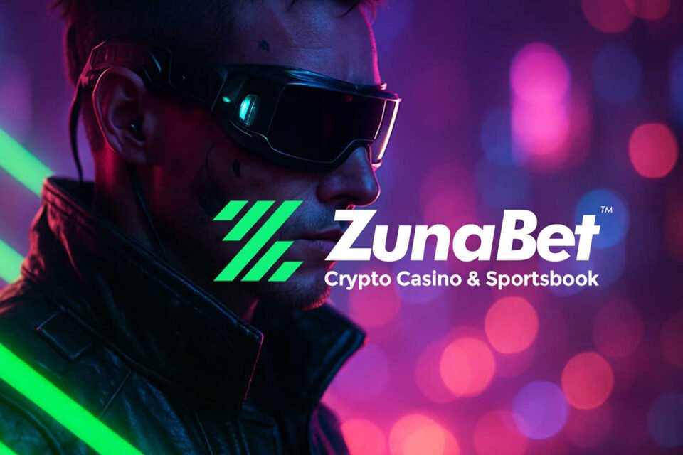 The Stake.com Various Wave: Why Crypto Gamblers Are Shopping Round in 2026
