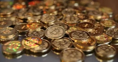 Florida IT educated accused of stealing $1.9M in Bitcoin from extinct employer